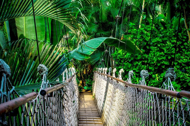 Outdoor Obstacle Course